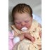 PREVENTA Adelaide de Samantha L. Gregory